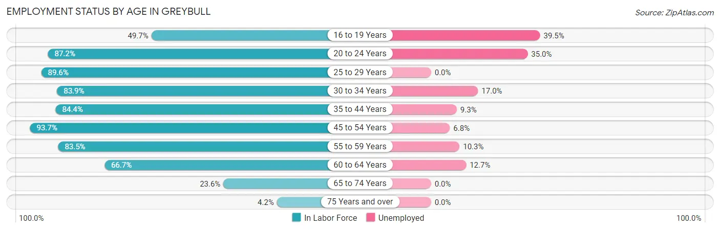 Employment Status by Age in Greybull