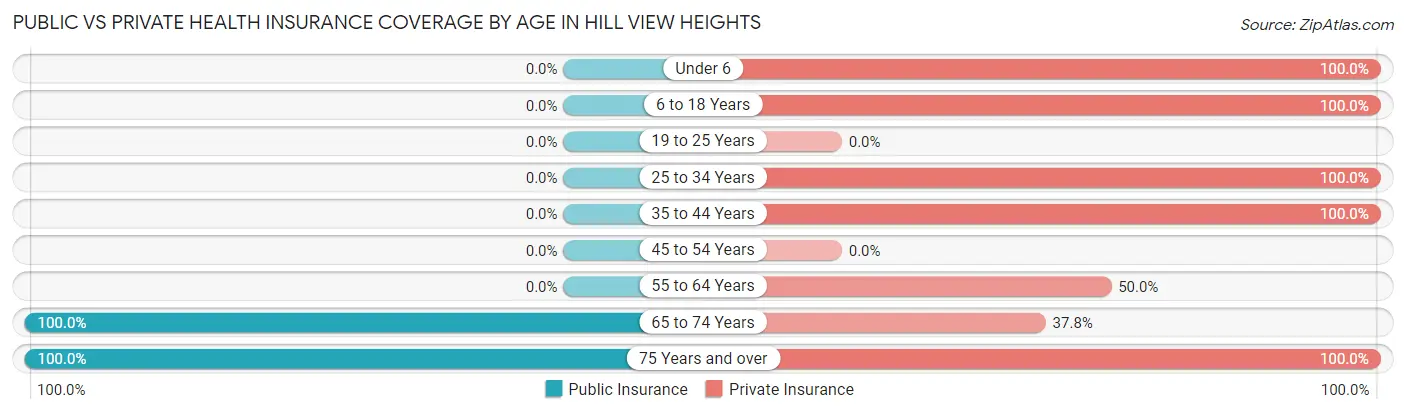 Public vs Private Health Insurance Coverage by Age in Hill View Heights