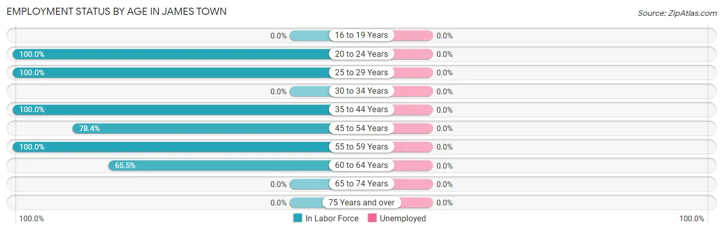 Employment Status by Age in James Town