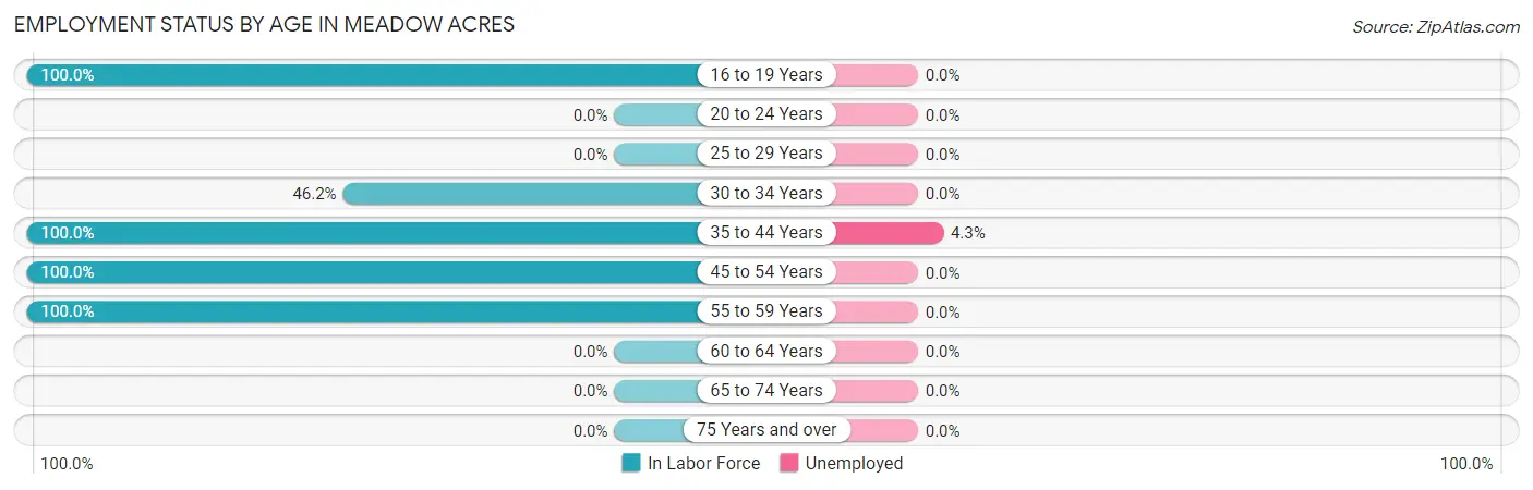 Employment Status by Age in Meadow Acres
