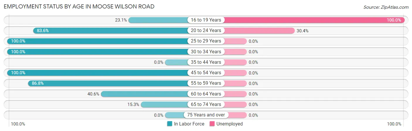 Employment Status by Age in Moose Wilson Road