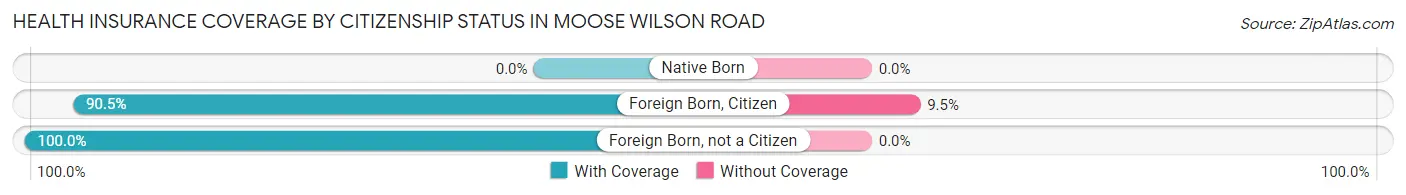 Health Insurance Coverage by Citizenship Status in Moose Wilson Road