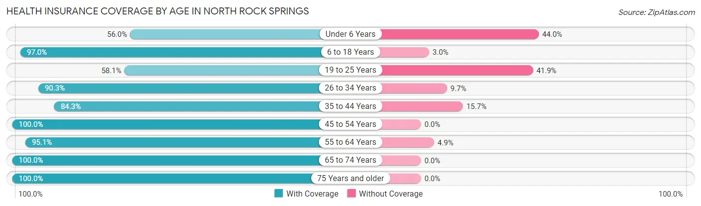Health Insurance Coverage by Age in North Rock Springs