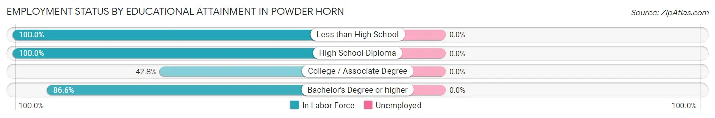 Employment Status by Educational Attainment in Powder Horn