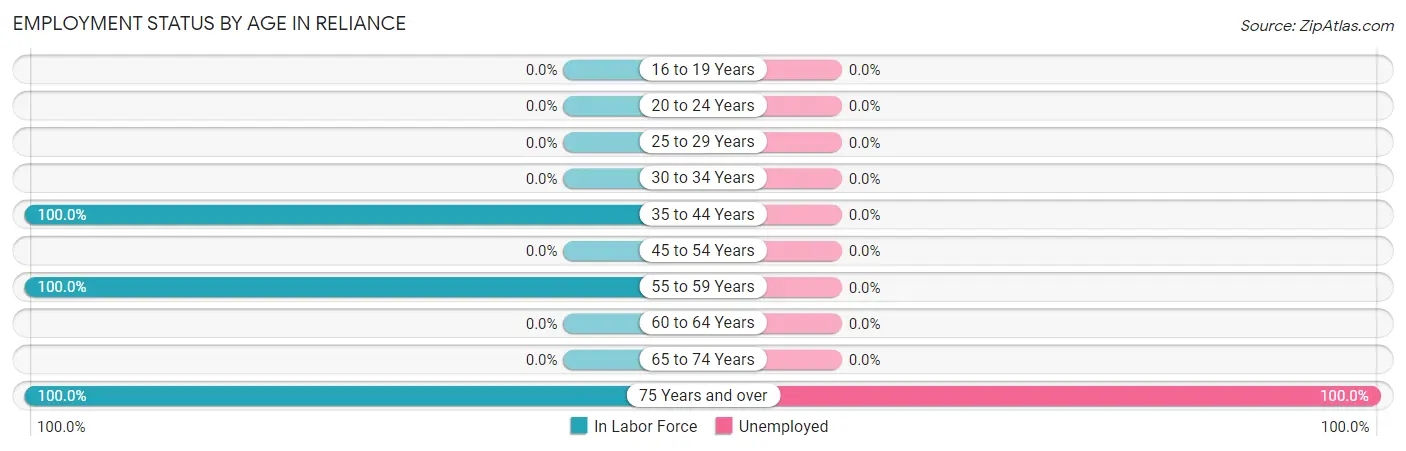 Employment Status by Age in Reliance