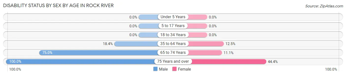 Disability Status by Sex by Age in Rock River