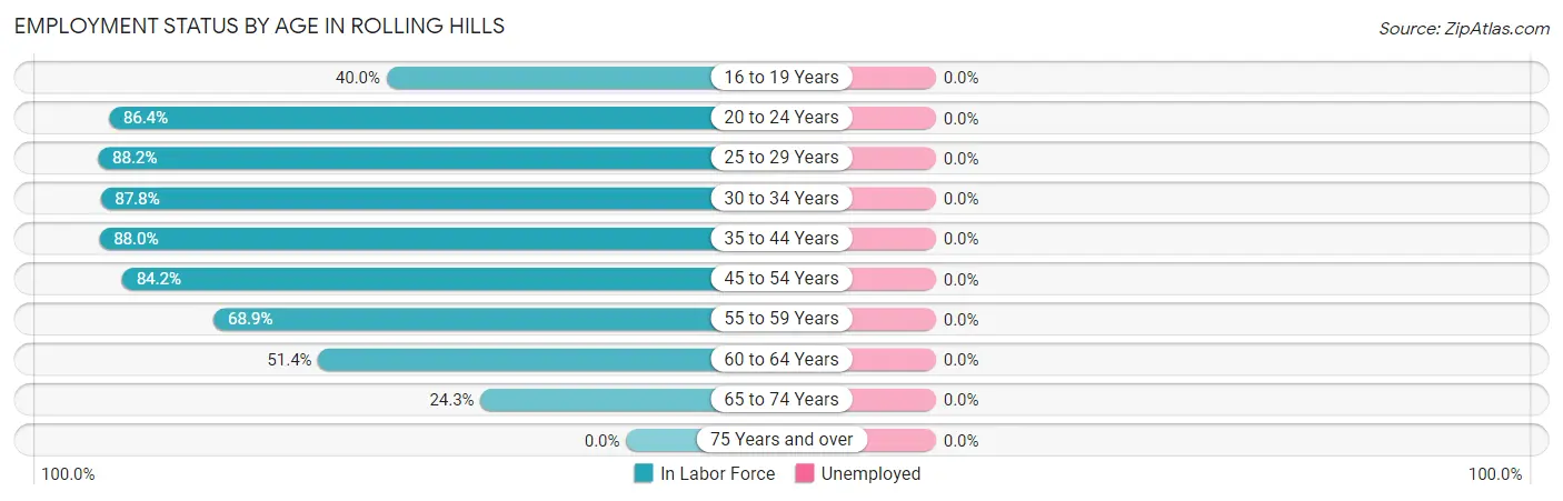 Employment Status by Age in Rolling Hills