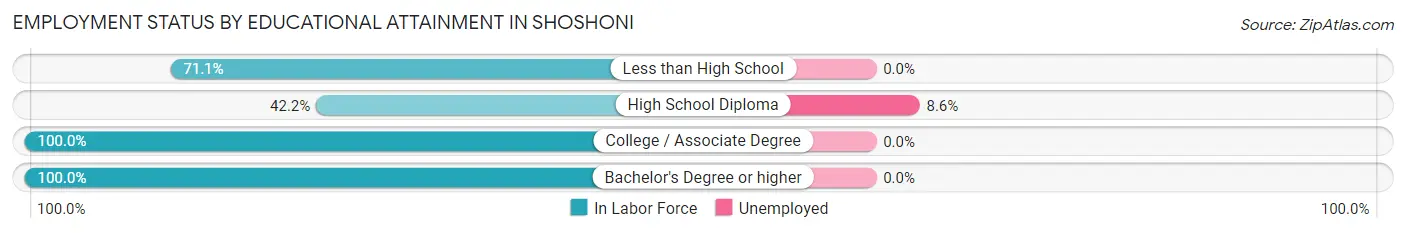 Employment Status by Educational Attainment in Shoshoni