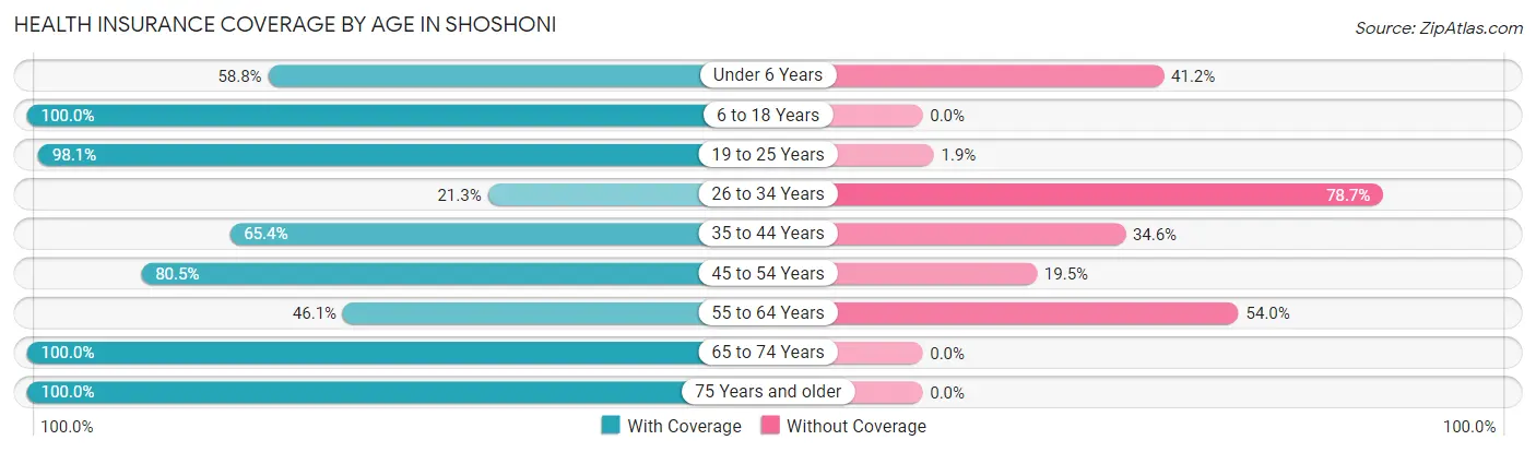 Health Insurance Coverage by Age in Shoshoni