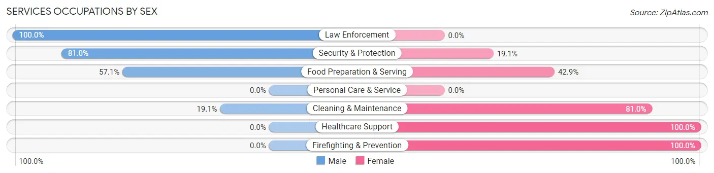 Services Occupations by Sex in Shoshoni