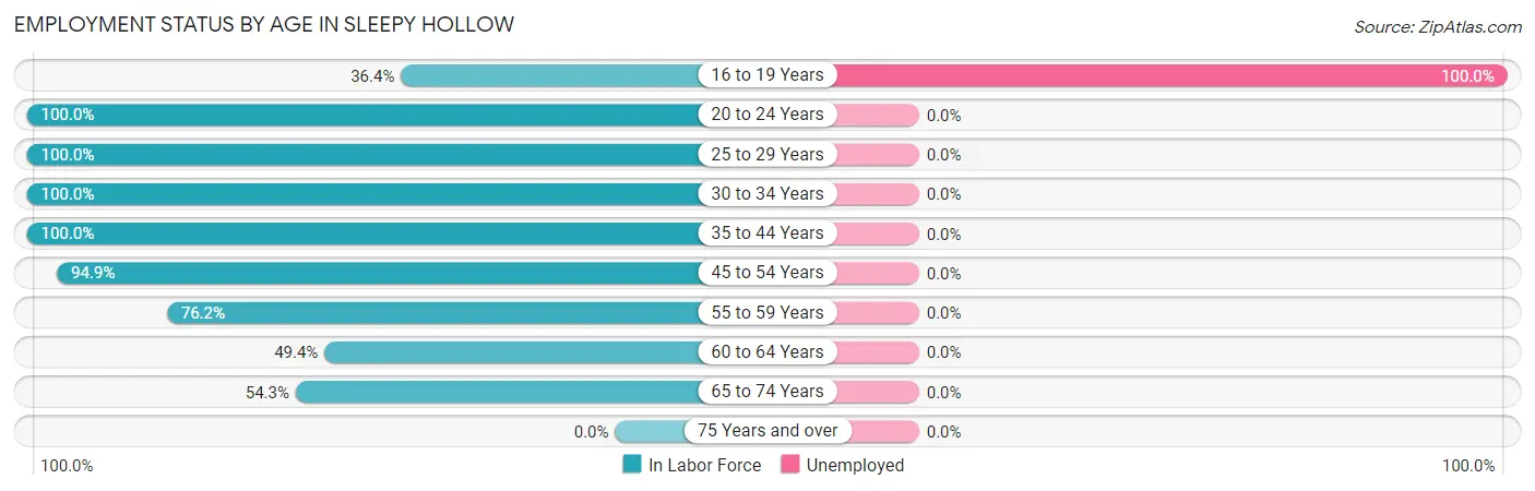 Employment Status by Age in Sleepy Hollow