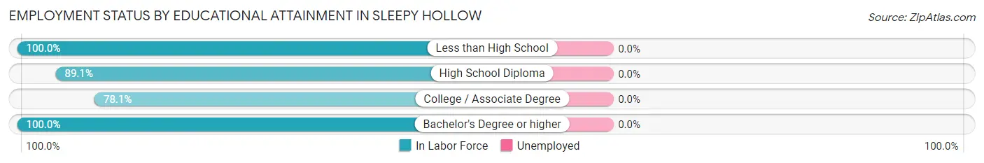 Employment Status by Educational Attainment in Sleepy Hollow