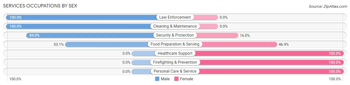 Services Occupations by Sex in Star Valley Ranch