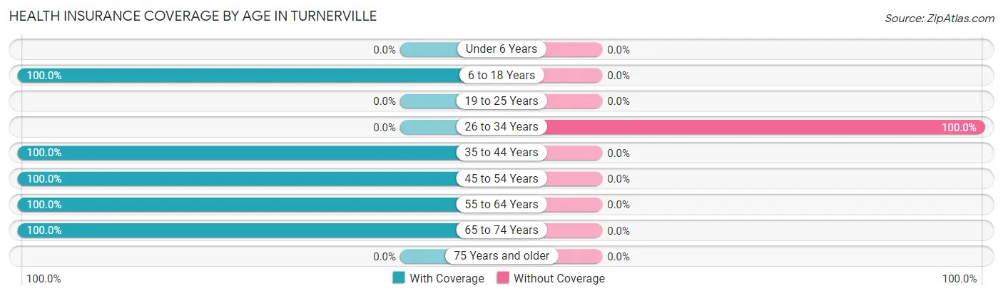 Health Insurance Coverage by Age in Turnerville