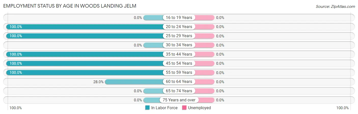 Employment Status by Age in Woods Landing Jelm