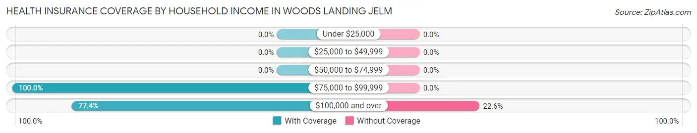 Health Insurance Coverage by Household Income in Woods Landing Jelm