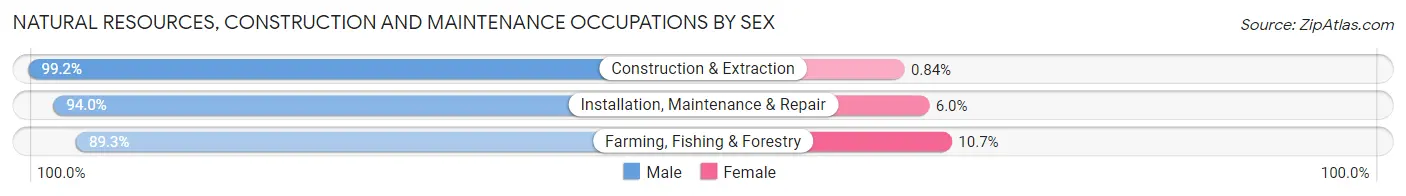 Natural Resources, Construction and Maintenance Occupations by Sex in Bethel Census Area