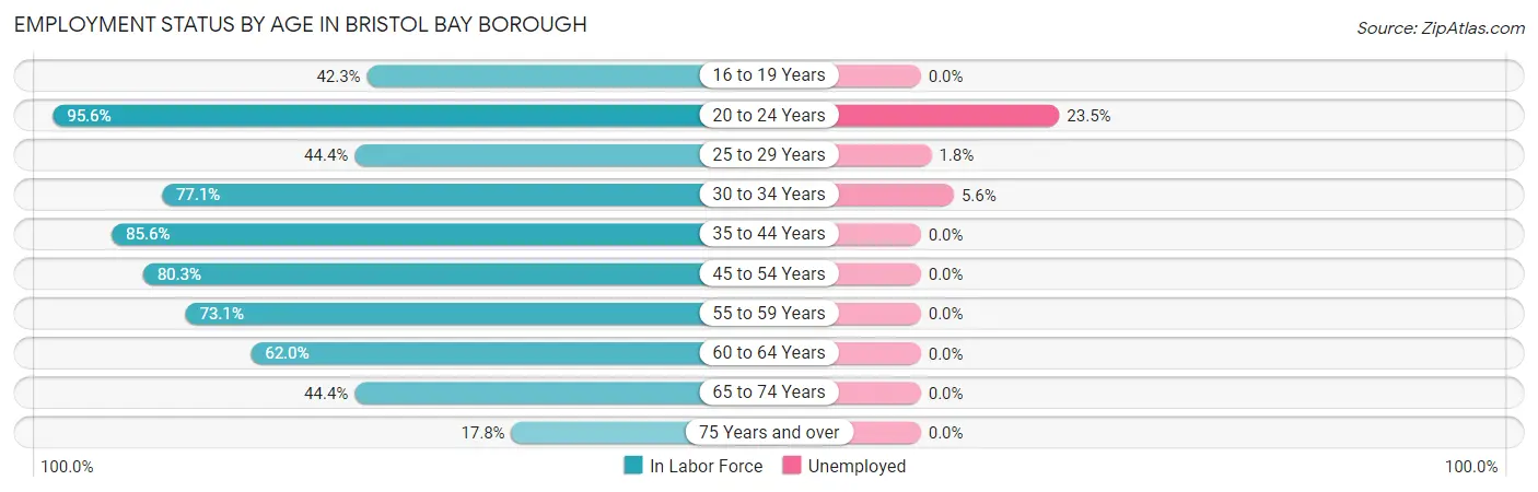 Employment Status by Age in Bristol Bay Borough