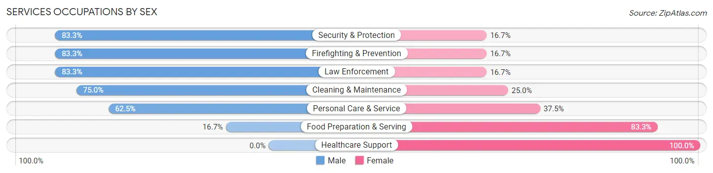 Services Occupations by Sex in Bristol Bay Borough