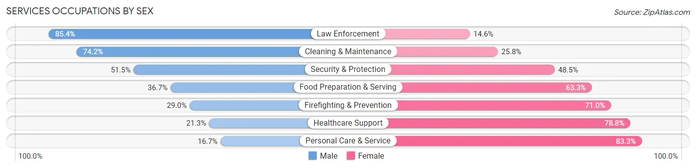 Services Occupations by Sex in Dillingham Census Area