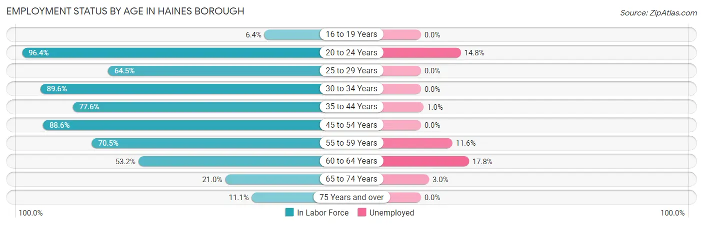 Employment Status by Age in Haines Borough