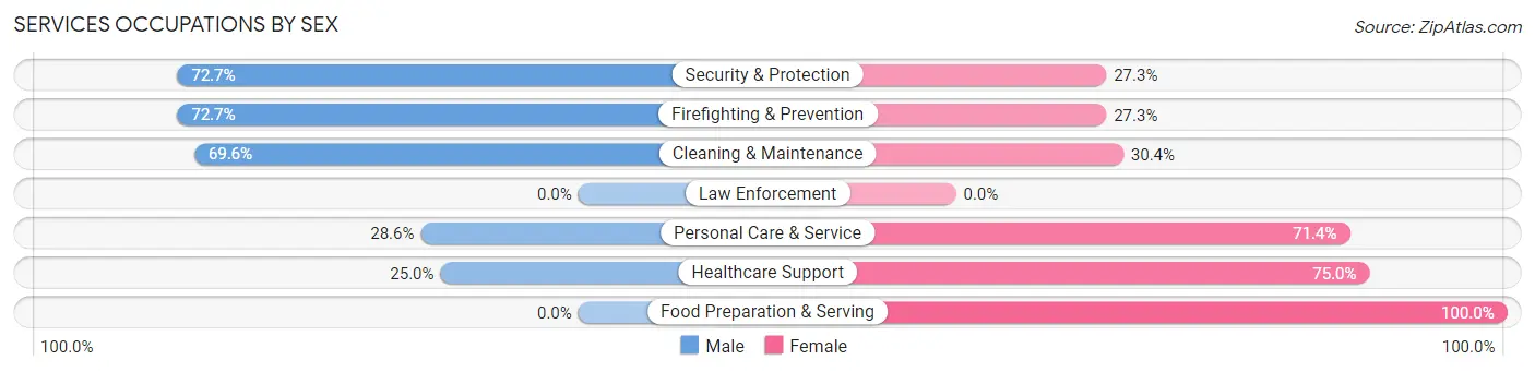 Services Occupations by Sex in Lake and Peninsula Borough