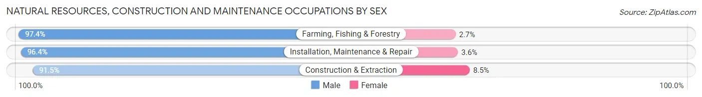 Natural Resources, Construction and Maintenance Occupations by Sex in Petersburg Borough