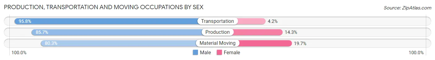 Production, Transportation and Moving Occupations by Sex in Petersburg Borough