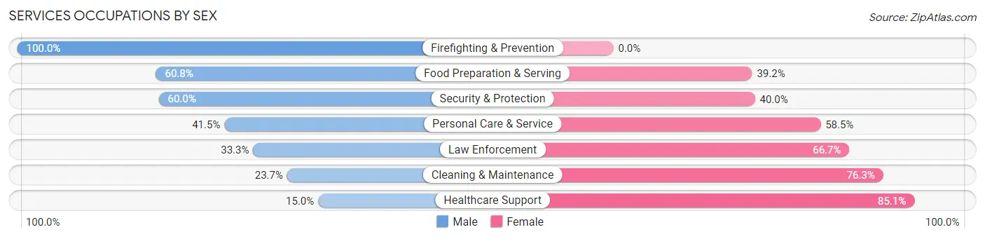 Services Occupations by Sex in Petersburg Borough