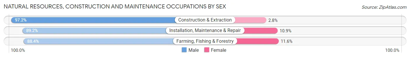 Natural Resources, Construction and Maintenance Occupations by Sex in El Dorado County