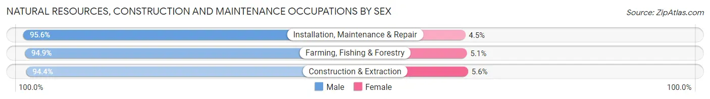 Natural Resources, Construction and Maintenance Occupations by Sex in Shasta County
