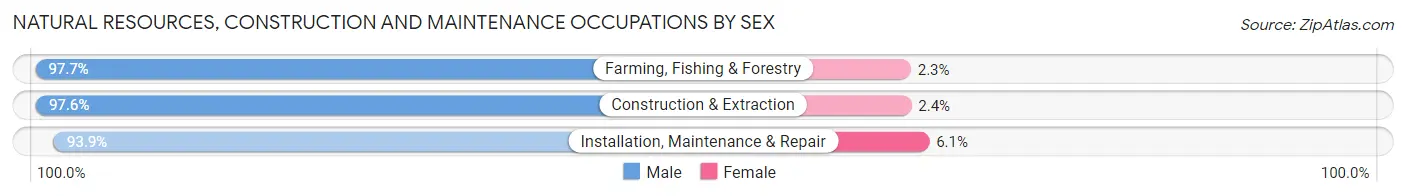 Natural Resources, Construction and Maintenance Occupations by Sex in Delta County