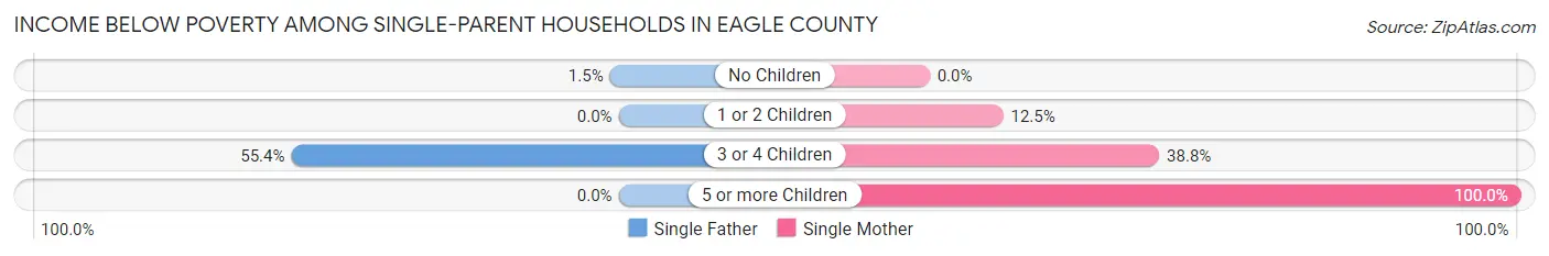 Income Below Poverty Among Single-Parent Households in Eagle County