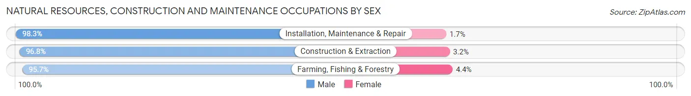 Natural Resources, Construction and Maintenance Occupations by Sex in Elbert County