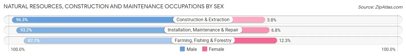 Natural Resources, Construction and Maintenance Occupations by Sex in La Plata County