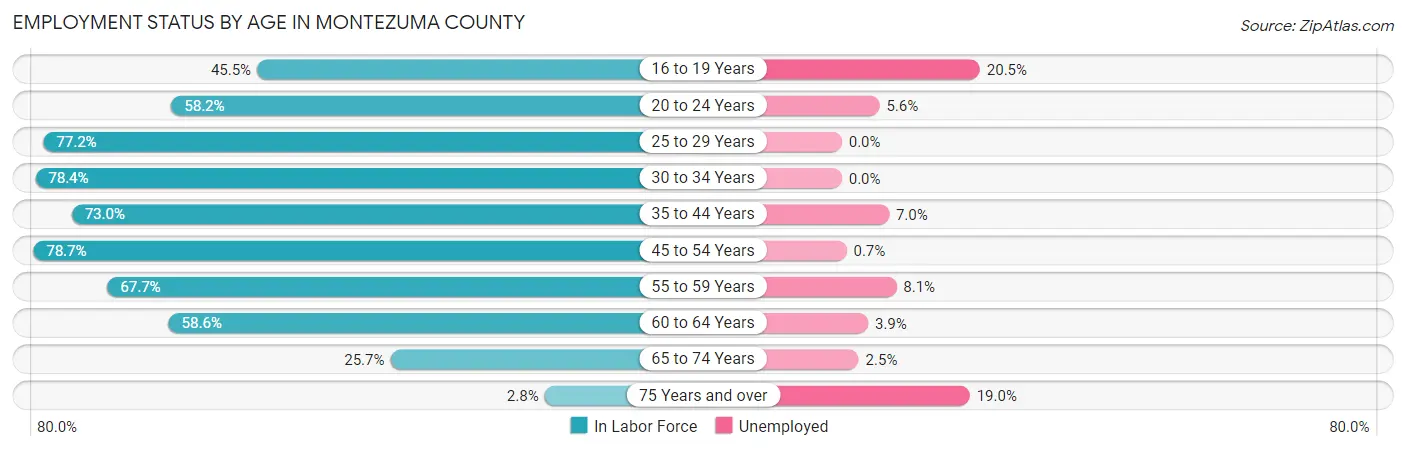 Employment Status by Age in Montezuma County
