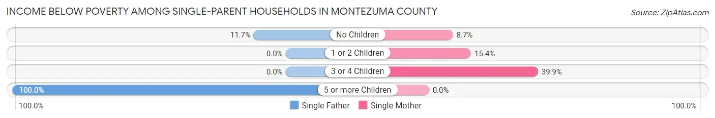 Income Below Poverty Among Single-Parent Households in Montezuma County