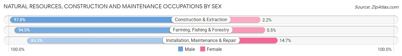 Natural Resources, Construction and Maintenance Occupations by Sex in Montezuma County