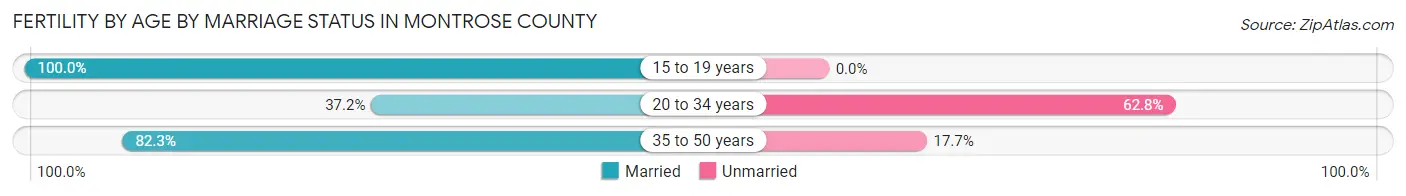 Female Fertility by Age by Marriage Status in Montrose County