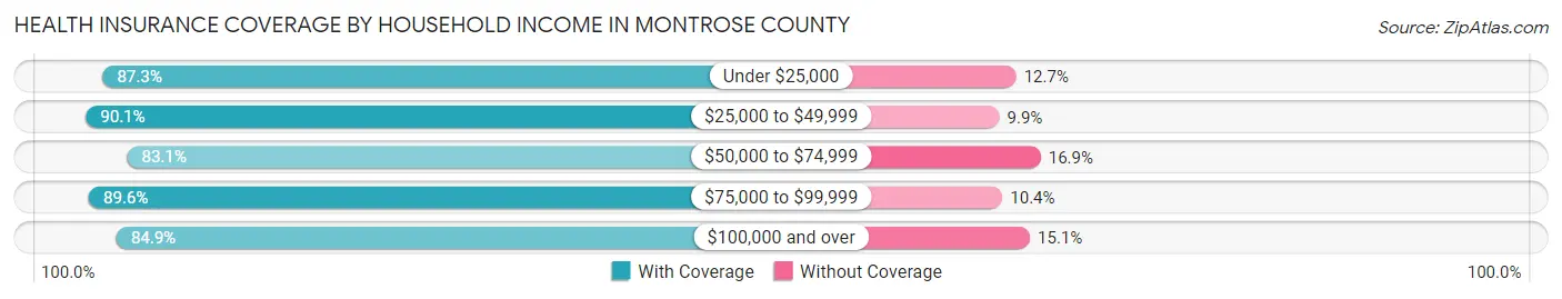 Health Insurance Coverage by Household Income in Montrose County