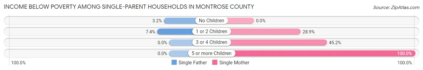 Income Below Poverty Among Single-Parent Households in Montrose County