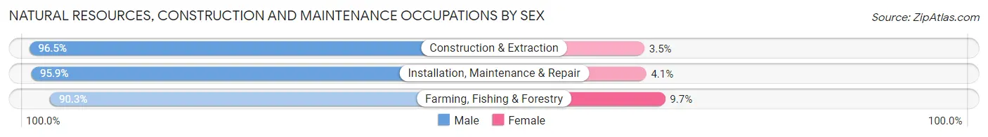 Natural Resources, Construction and Maintenance Occupations by Sex in Pueblo County