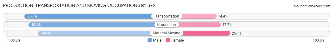 Production, Transportation and Moving Occupations by Sex in Pueblo County
