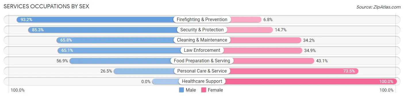 Services Occupations by Sex in Routt County
