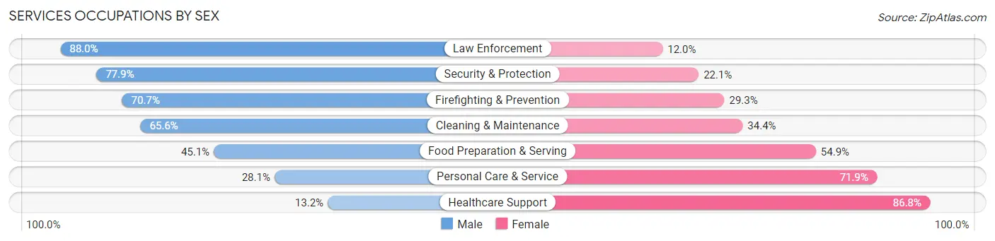 Services Occupations by Sex in Capitol Planning Region