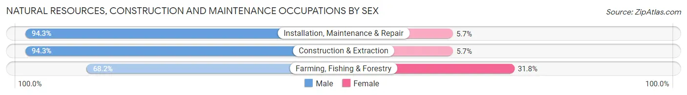 Natural Resources, Construction and Maintenance Occupations by Sex in Duval County