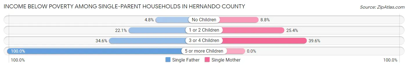 Income Below Poverty Among Single-Parent Households in Hernando County