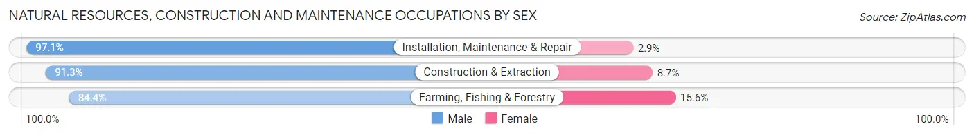 Natural Resources, Construction and Maintenance Occupations by Sex in Okaloosa County