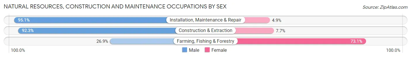 Natural Resources, Construction and Maintenance Occupations by Sex in Chatham County