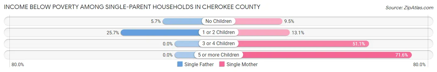 Income Below Poverty Among Single-Parent Households in Cherokee County